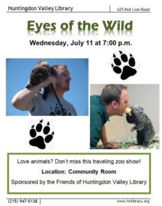 Eyes of the wild flyer