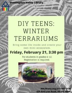 DIY Teens Terrariums 2.21.20